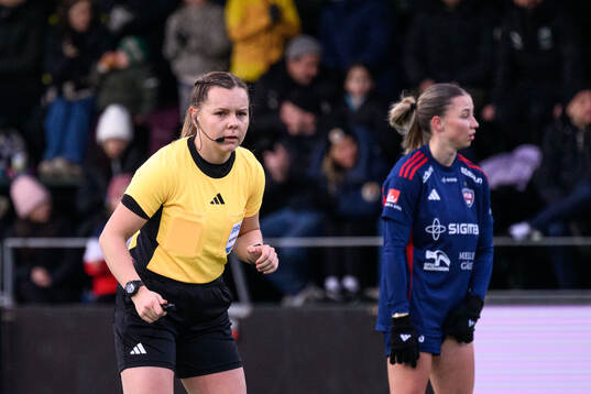 Domare Hanna Laajanen