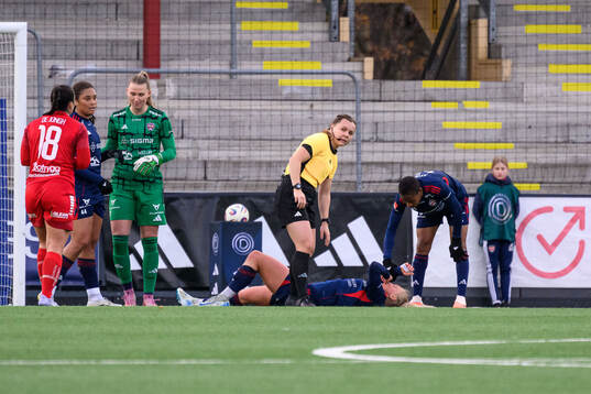 Rosengårds Molly Johansson får vård