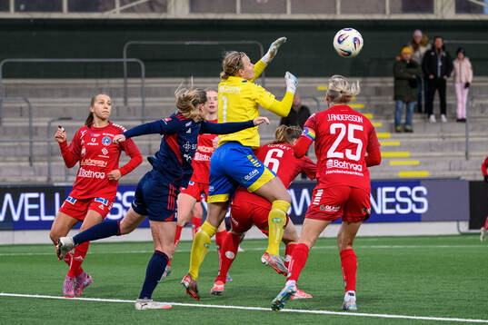 Linköpings målvakt Cajsa Andersson