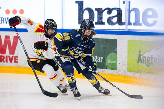 Bläddra bland fler bilder av Ishockey, SDHL, HV71 - Brynäs