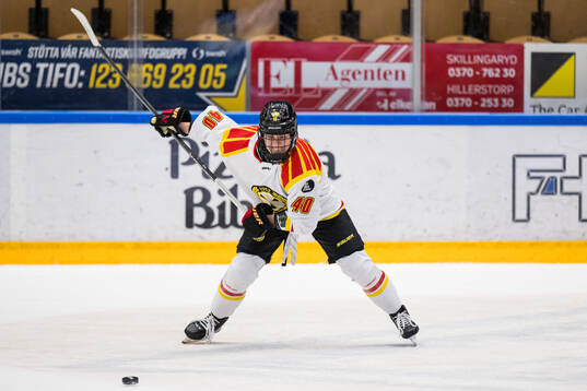 Brynäs Noora Tulus