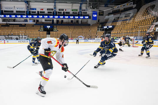 Brynäs Anna Brenkle