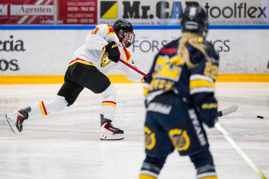 Brynäs Anna Brenkle