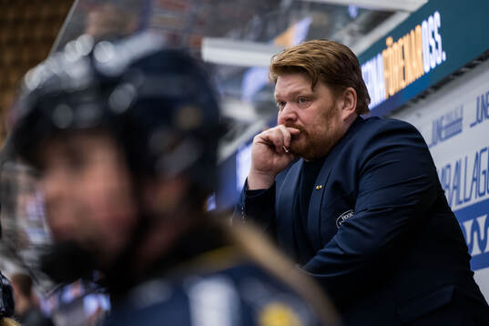HV71s tränare Thomas Pettersen
