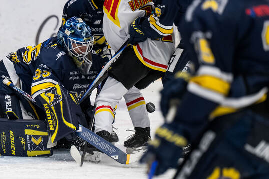 HV71s målvakt Stephanie Neatby