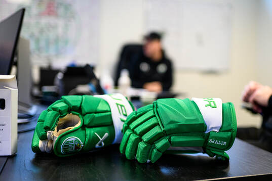 Ishockeyhandskar
