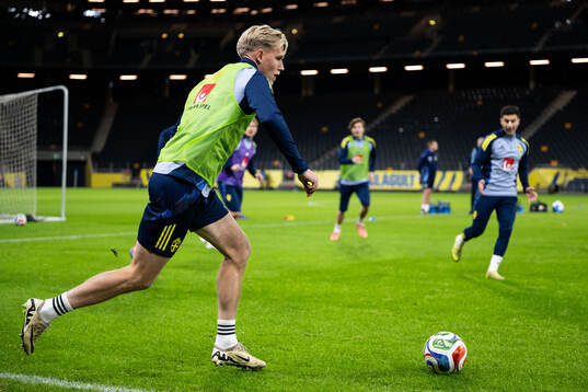 Herman Johansson of the Swedish men's national football team
