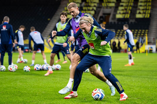 Gustav Lundgren and Emil Forsberg of the Swedish men's