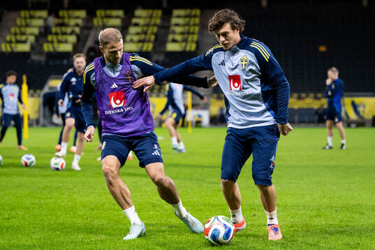 Gustav Lundgren and Victor Nilsson Lindelöf of the Swedish