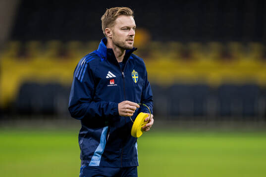 Assistant coach Sebastian Larsson of the Swedish men's