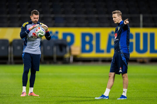 Goalkeeper coach Maths Elfvendal of the Swedish men's