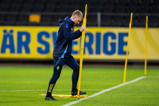 Head coach Graham Potter of the Swedish men's national