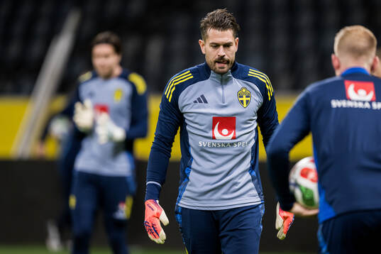goalkeeper Kristoffer Nordfeldt of the Swedish men's