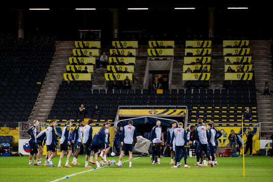 Players of the Swedish men's national football team
