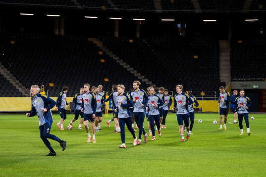 Players of the Swedish men's national football team