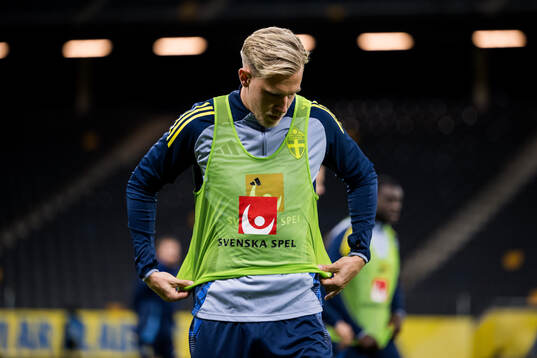 Herman Johansson of the Swedish men's national football team