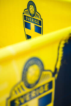 The logotype of the Swedish FA
