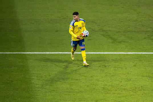 Roony Bardghji of Sweden