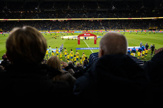 Players of Sweden