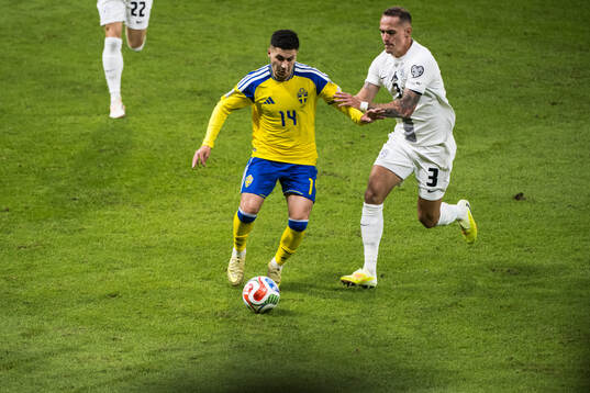Roony Bardghji of Sweden and Jure Balkovec of Slovenia