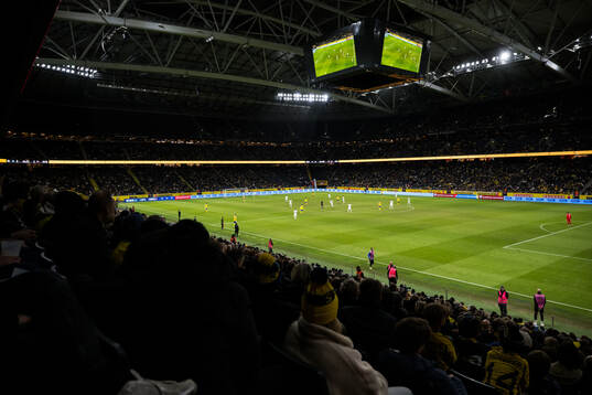General view of Strawberry arena
