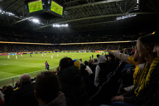 General view of Strawberry arena