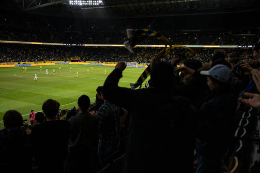 Spectators