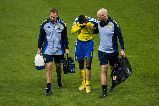 Ken Sema of Sweden leaves the pitch