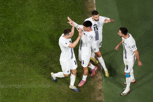 Timi Elsnik of Slovenia celebrates with Svit Seslar,