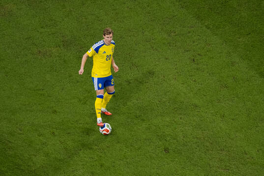 Emil Krafth of Sweden