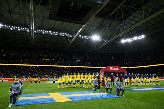 Players of Sweden