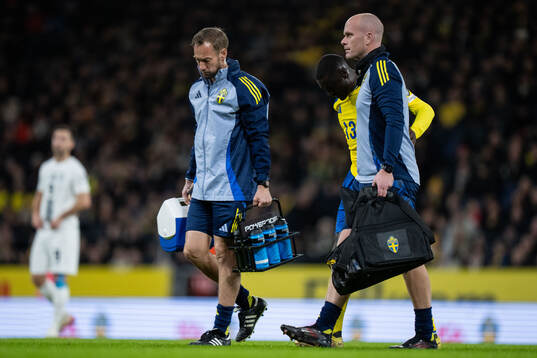 Ken Sema of Sweden leaves the pitch