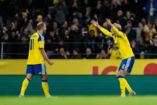 Gustav Lundgren and Herman Johansson of Sweden celebrate