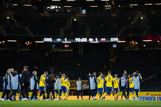 Players of Sweden
