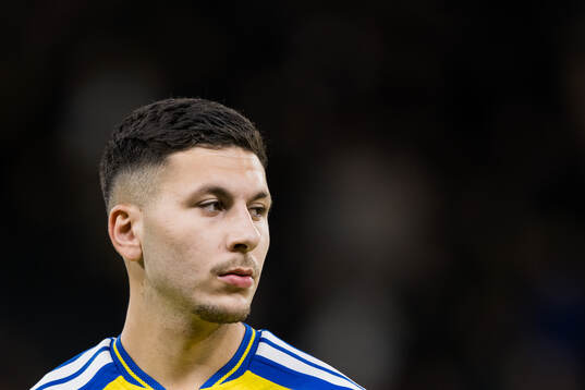 Roony Bardghji of Sweden
