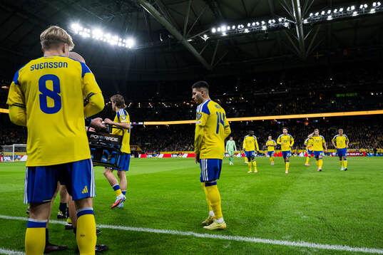 Roony Bardghji of Sweden
