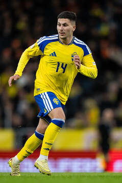 Roony Bardghji of Sweden