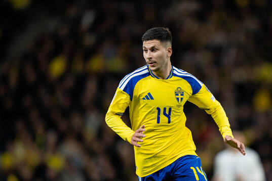 Roony Bardghji of Sweden