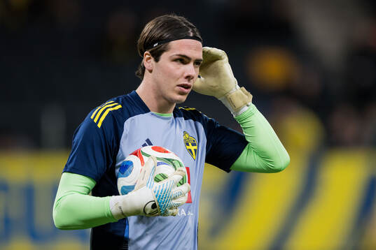 Goalkeeper Jacob Widell Zetterström of Sweden
