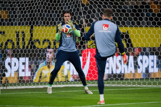 Goalkeeper Jacob Widell Zetterström of Sweden