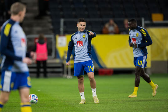 Roony Bardghji of Sweden