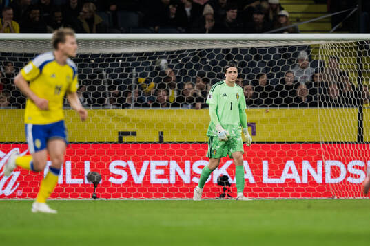 Goalkeeper Jacob Widell Zetterström of Sweden