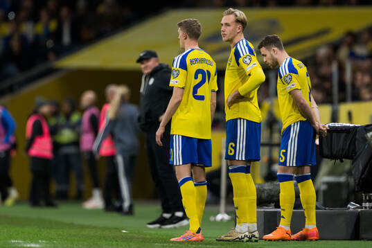 Alexander Bernhardsson, Herman Johansson and Gabriel