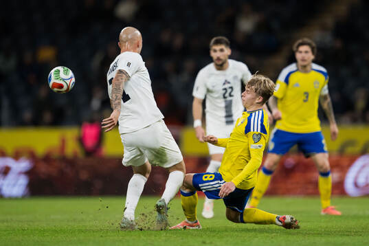 Daniel Svensson of Sweden and Svit Seslar of Slovenia