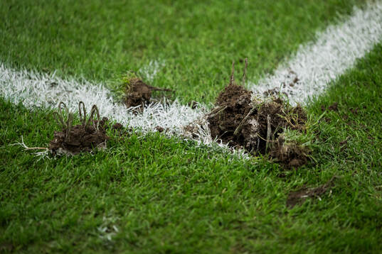 The pitch