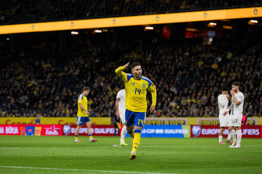 Roony Bardghji of Sweden