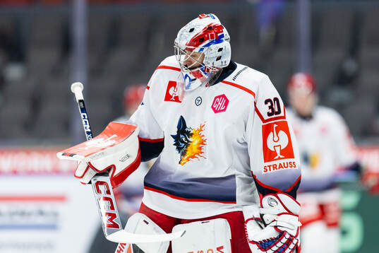 Goaltender Jakub Stepanck of Grenoble