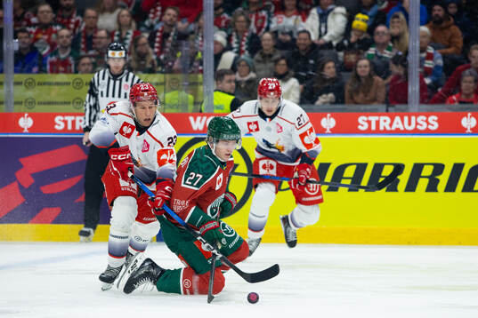 Fredric Weigel of Grenoble and Theodor Niederbach of
