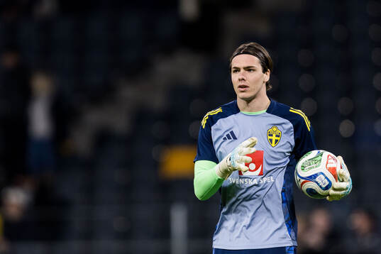 Goalkeeper Jacob Widell Zetterström of Sweden