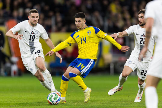 Timi Elsnik and Adam Gnezda Cerin of Slovenia against Roony